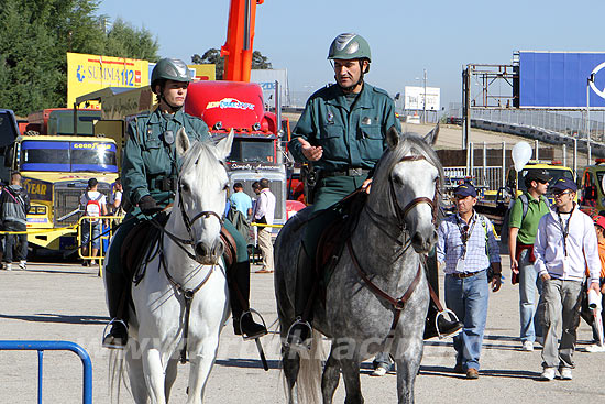 Truck Racing Jarama 2010