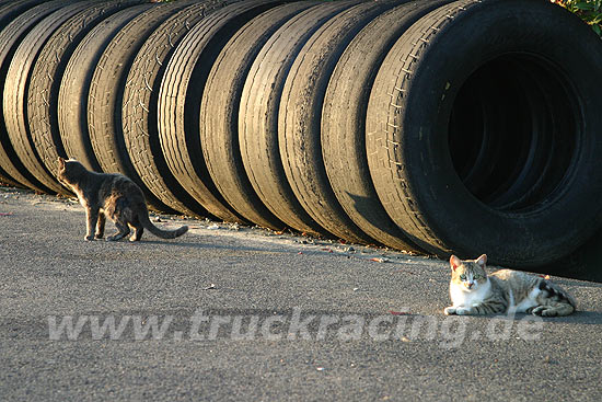 Truck Racing  2006
