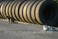 Truck Racing  2006