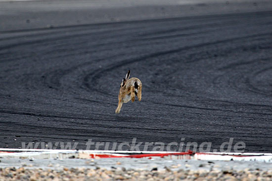 Truck Racing Most 2007