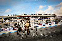 Truck Racing  2017